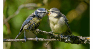 Role of Parents in Matchmaking – How Parents Can Support Their Children Without Pressure